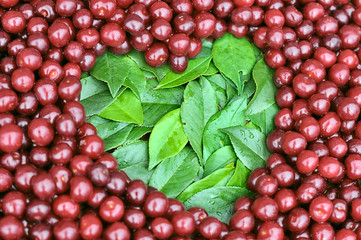 heart cherry