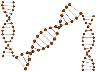 DNA String Of Basketball Player 01