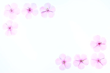 Fototapeta na wymiar Blütenrahmen