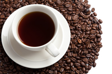 Coffee Bean