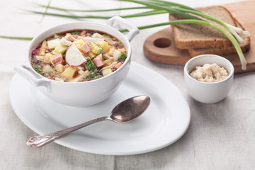 Cold soup with chopped vegetables and meat