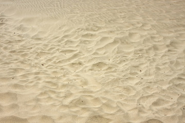 Fototapeta na wymiar Aufnahme von Sand am Strand im Querformat