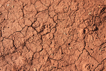 Trockener roter Ackerboden