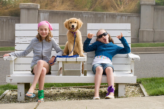 Kids On A Bench With A Puppy