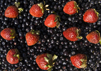 Background with bilberries and strawberries