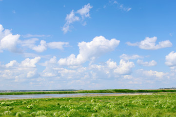 Fototapeta na wymiar lake,grass and blue cloud sky