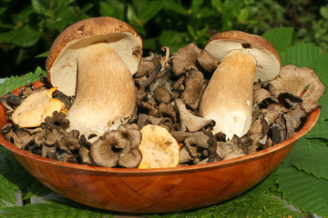 Un plat de cèpes et de trompettes des morts
