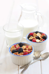 Whole grain cereal with milk and berries