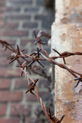 Stacheldraht