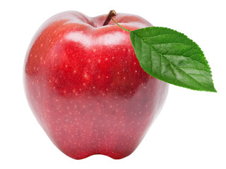 red apple isolated on white background