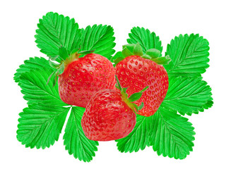 strawberry isolated on white background