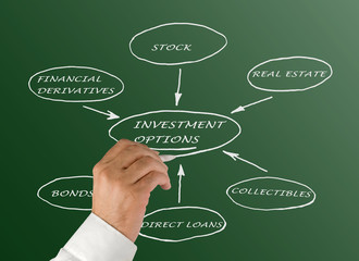INVESTMENT  OPTIONS