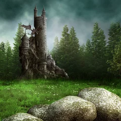 Tuinposter Fantasiekasteel in het bos © Obsidian Fantasy