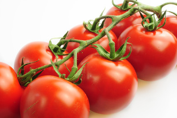 tomatoes