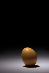 Egg on dark background