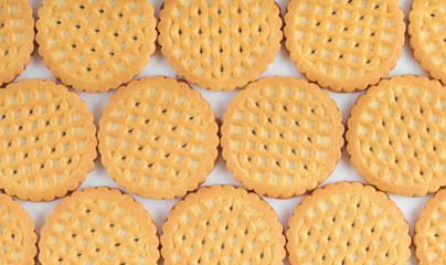 Biscuit