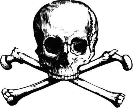 Skull and bones drawing Royalty Free Vector Image