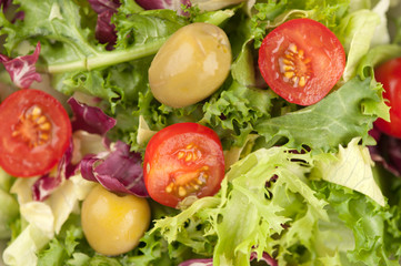 fresh vegetable salad