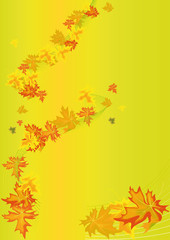 Naklejka na ściany i meble autumn maple leaf 2