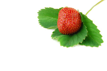 Strawberry macro