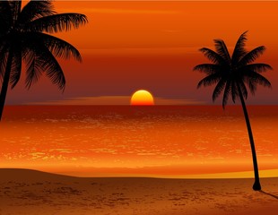 Tropical beach sunset