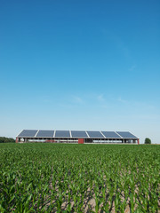 Farm and solar panel