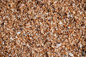 texture of sand on the beach