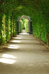 vegetation tunnel