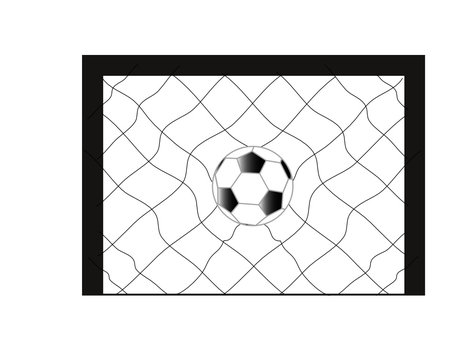 Football Soccer with net