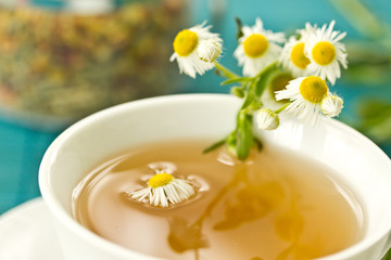 Obraz na płótnie Canvas chamomile tea