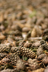 Cones