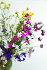 Naklejka na ściany i meble Bouquet of summer fresh wild flowers isolated on white
