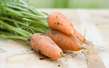 Fresh carrots on wooden board