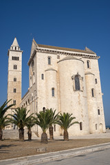 Fototapeta na wymiar Trani (Apulia, Włochy) - średniowieczna katedra i palmy