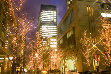Fototapeta premium 東京・丸の内のクリスマスイルミネーション