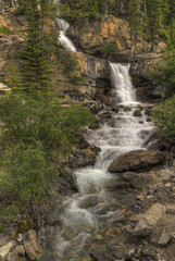 Fototapeta na wymiar Tangle Falls