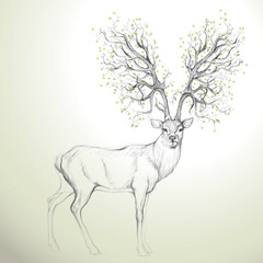 Deer with Antler jak tree / Realistic sketch - 34398547