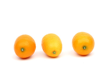 kumquat