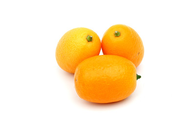 kumquat