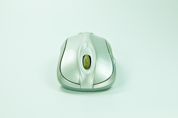 Old mouse