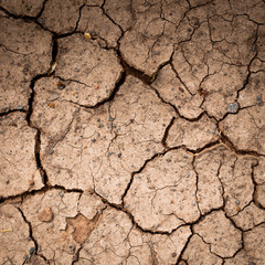 Cracked and dry soil textured