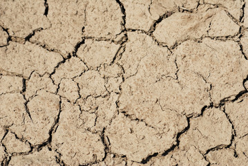 Cracked soil