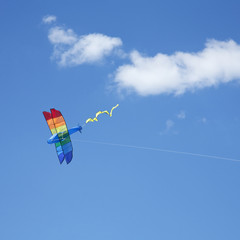 Kite