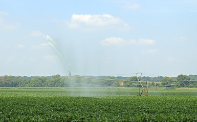 Irrigating Farmland