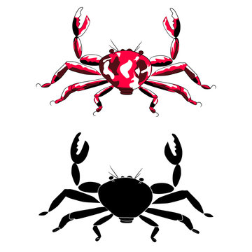 Red crab and sillouette (isolated)
