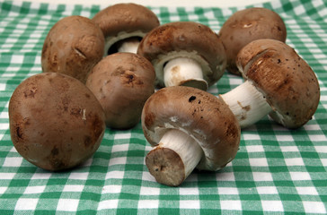 Braune Champignons