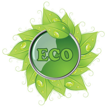 Leaf & Eco Button