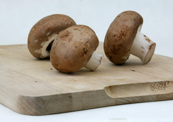 Braune Champignons