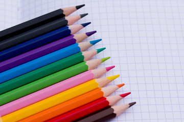 Fototapeta premium colourful pencils - school stationery