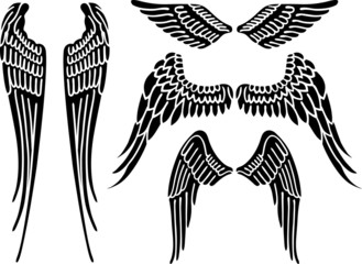 Angel wings (vector)